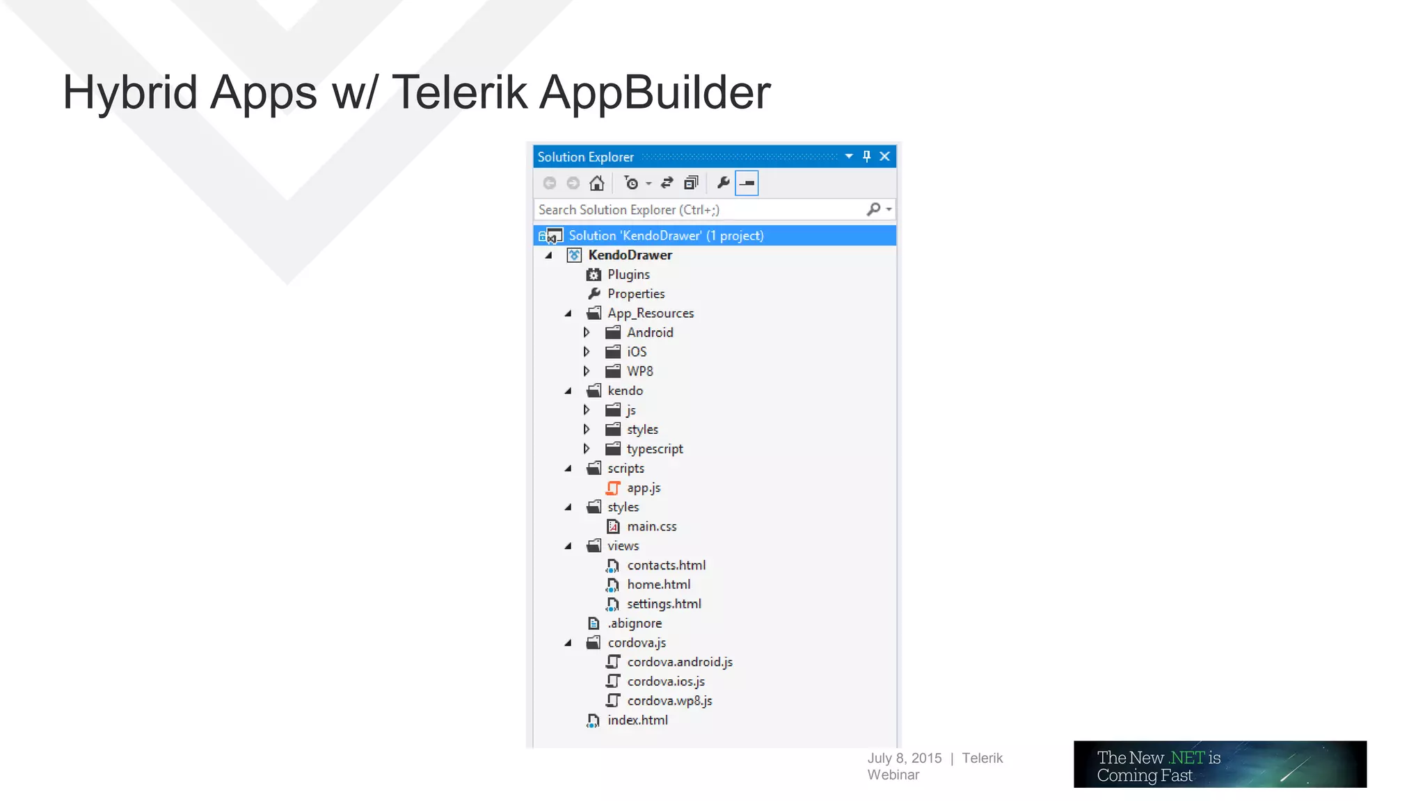 July 8, 2015 | Telerik
Webinar
Hybrid Apps w/ Telerik AppBuilder
 