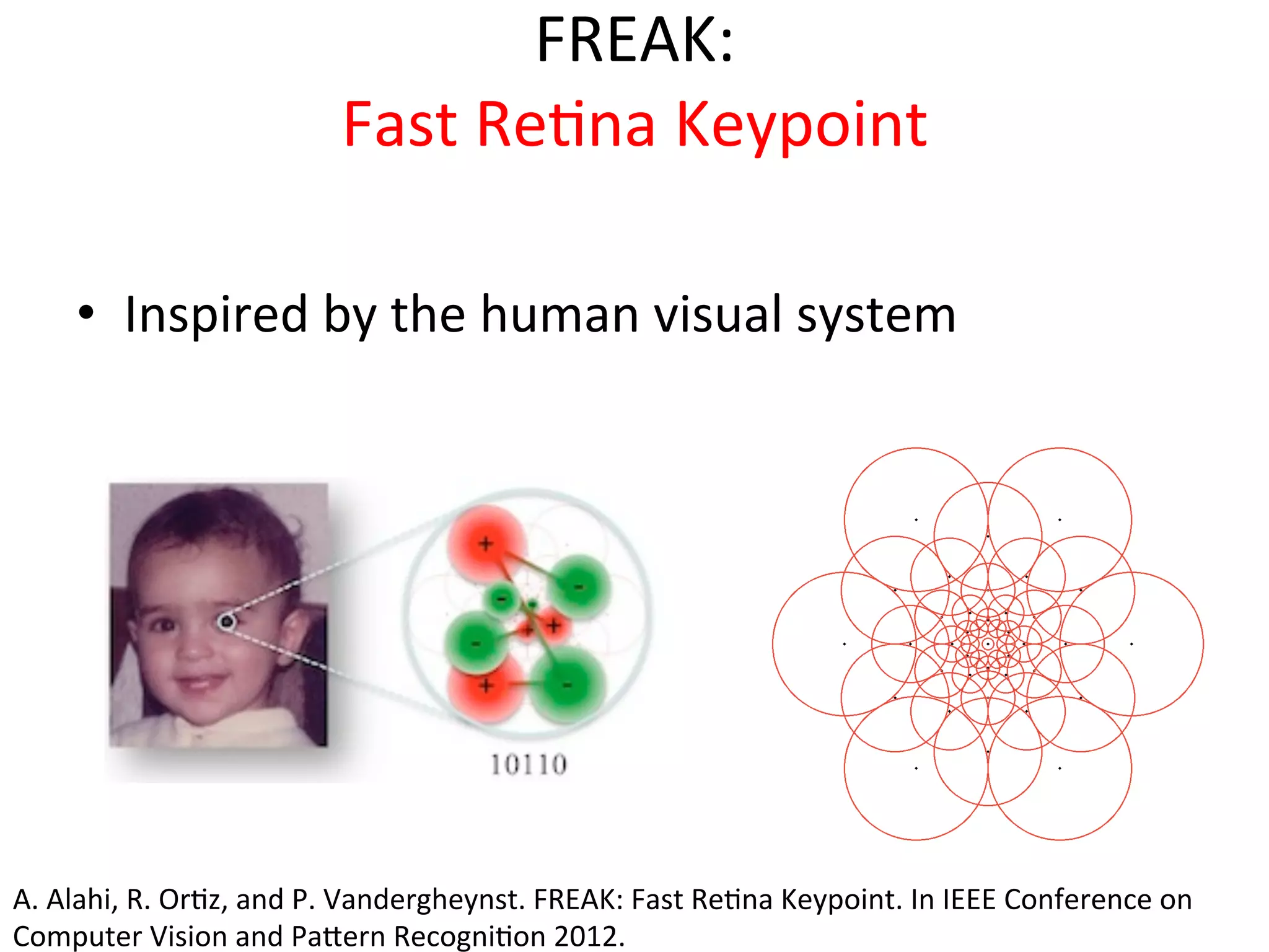 FREAK:	
  	
  
                                     Fast	
  Re<na	
  Keypoint	
  	
  
                                                 	
  
       •  Inspired	
  by	
  the	
  human	
  visual	
  system	
  




A.	
  Alahi,	
  R.	
  Or<z,	
  and	
  P.	
  Vandergheynst.	
  FREAK:	
  Fast	
  Re<na	
  Keypoint.	
  In	
  IEEE	
  Conference	
  on	
  
Computer	
  Vision	
  and	
  Paeern	
  Recogni<on	
  2012.	
  
 