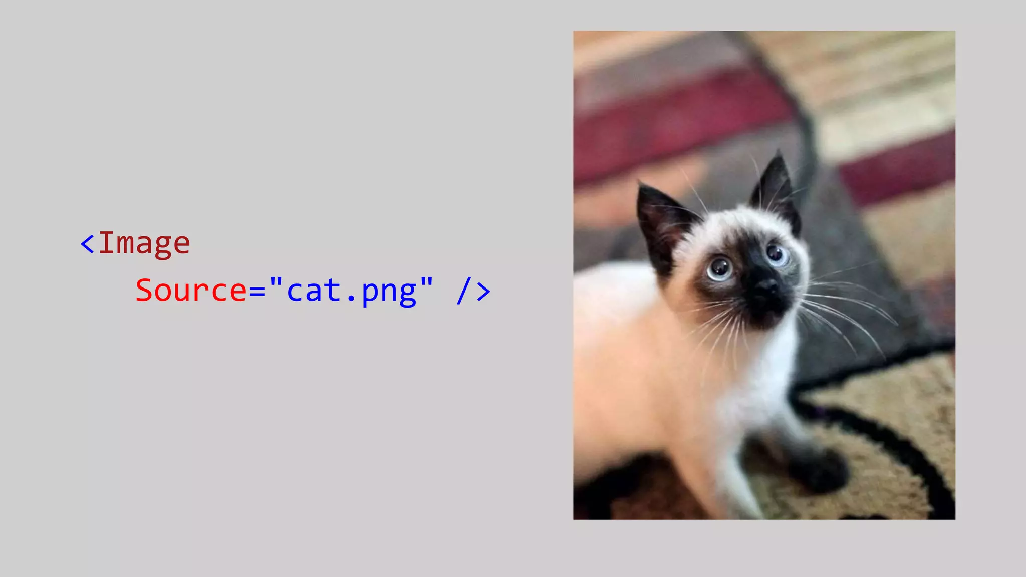 <Image
Source="cat.png" />
 