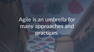 Agile is an umbrella for
many approaches and
practices.
 