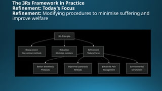 Modern Approaches to Anaesthesia and Euthanasia of Laboratory Animals ...