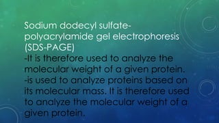 Sodium dodecyl sulfate-
polyacrylamide gel electrophoresis
(SDS-PAGE)
-It is therefore used to analyze the
molecular weight of a given protein.
-is used to analyze proteins based on
its molecular mass. It is therefore used
to analyze the molecular weight of a
given protein.
 