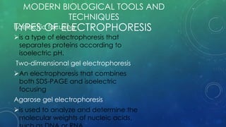 Isoelectric focusing
is a type of electrophoresis that
separates proteins according to
isoelectric pH.
Two-dimensional gel electrophoresis
An electrophoresis that combines
both SDS-PAGE and isoelectric
focusing
Agarose gel electrophoresis
is used to analyze and determine the
molecular weights of nucleic acids,
MODERN BIOLOGICAL TOOLS AND
TECHNIQUES
TYPES OF ELECTROPHORESIS
 