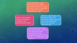 The fused gene and
cloning vector called
recombinant DNA, is then
forced to enter a suitable
host cell such as the
bacterium E. coli.
The E. coli will then
produce several
copies of the
recombinant DNA.
The recombinant DNA
becomes a part of the E.
coli cell and is then
transmitted to the
daughter cell every time
the E. coli undergoes cell
division.
Since E. coli divides at a
very fast rate (~20
minutes), large amounts
of the recombinant
DNA can also be
reproduced.
 