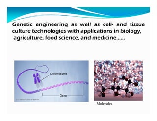 Biotechnology Risks Modern biotechnology and biosafety issues | PDF
