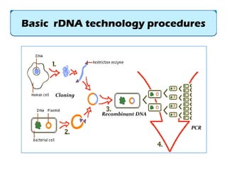 Modern biotechnology and biosafety issues | PDF