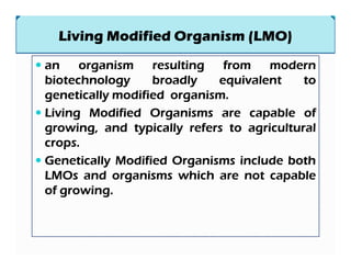 an organism resulting from modern
biotechnology broadly equivalent to
genetically modified organism.
Living Modified Organ...