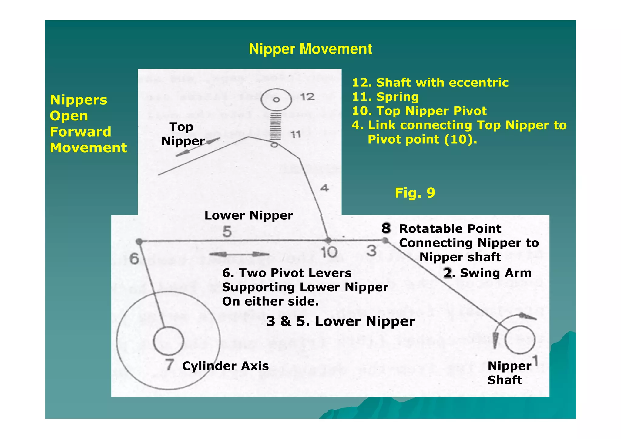 Nipper Movement
Nippers
Open
Forward
Movement
Top
Nipper
Lower Nipper
6. Two Pivot Levers
Supporting Lower Nipper
On either side.
3 & 5. Lower Nipper
Cylinder Axis
Rotatable Point
Connecting Nipper to
Nipper shaft
2. Swing Arm
Nipper
Shaft
12. Shaft with eccentric
11. Spring
10. Top Nipper Pivot
4. Link connecting Top Nipper to
Pivot point (10).
Fig. 9
8
 