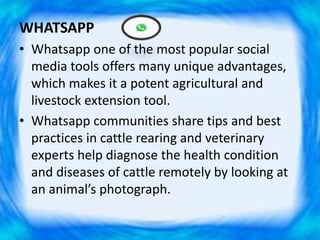 WHATSAPP
• Whatsapp one of the most popular social
media tools offers many unique advantages,
which makes it a potent agricultural and
livestock extension tool.
• Whatsapp communities share tips and best
practices in cattle rearing and veterinary
experts help diagnose the health condition
and diseases of cattle remotely by looking at
an animal’s photograph.
 