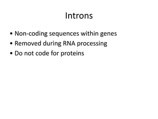 Gene Non Coding Intron Comprehensive Overview of Modern Gene Structure and Function in ...