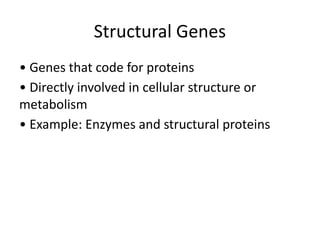 Comprehensive Overview of Modern Gene Structure and Function in ...