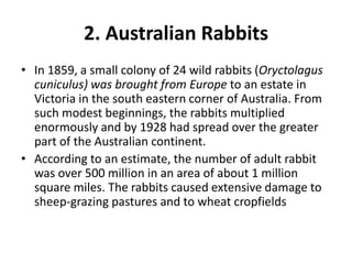 Natural Selection Rabbit Modern concept of natural selection2 | PPTX