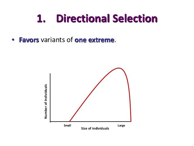 Natural Selection That Favors An Intermediate Phenotype Is Natural Selection That Favors An Intermediate Phenotype Is