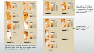 Figure 3. Maps of variability of selected available soil
nutrients, % soil water, and % soil organic matter
from sampling sites on a 156 hectare field.
Figure 4. Grain yield (kg/ha)
and kernel weight (g) shown
by maps illustrate the spatial
variability in crop production
in the study area.
Figure 5. Spatial
distribution of total N,
P and K uptake.
 