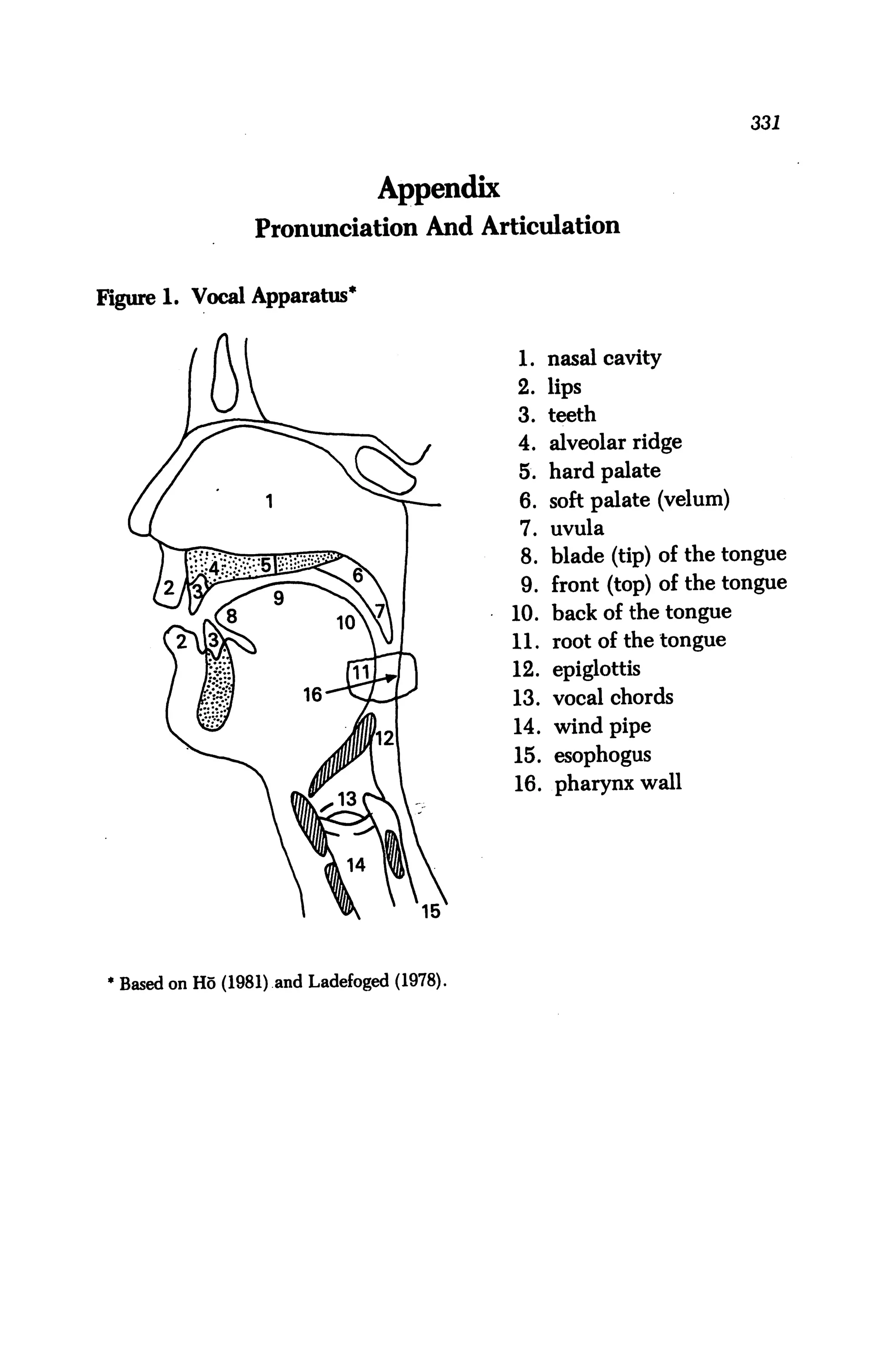 331



                                  Appendix
                  Pronunciation And Articulation


Figure 1. Vocal Apparatus*


                                              1. nasal cavity
                                              2. lips
                                              3. teeth
                                              4. alveolar ridge
                                              5. hard palate
                                              6. soft palate (velum)
                                              7. uvula
                                              8. blade (tip) of the tongue
                                              9. front (top) of the tongue
                                              10. back of the tongue
                                              11. root of the tongue
                                              12. epiglottis
                                              13. vocal chords
                                              14. wind pipe
                                              15. esophogus
                                              16. pharynx wall




                                       15



 1 Based on Ho (1981) and Ladefoged (1978).
 