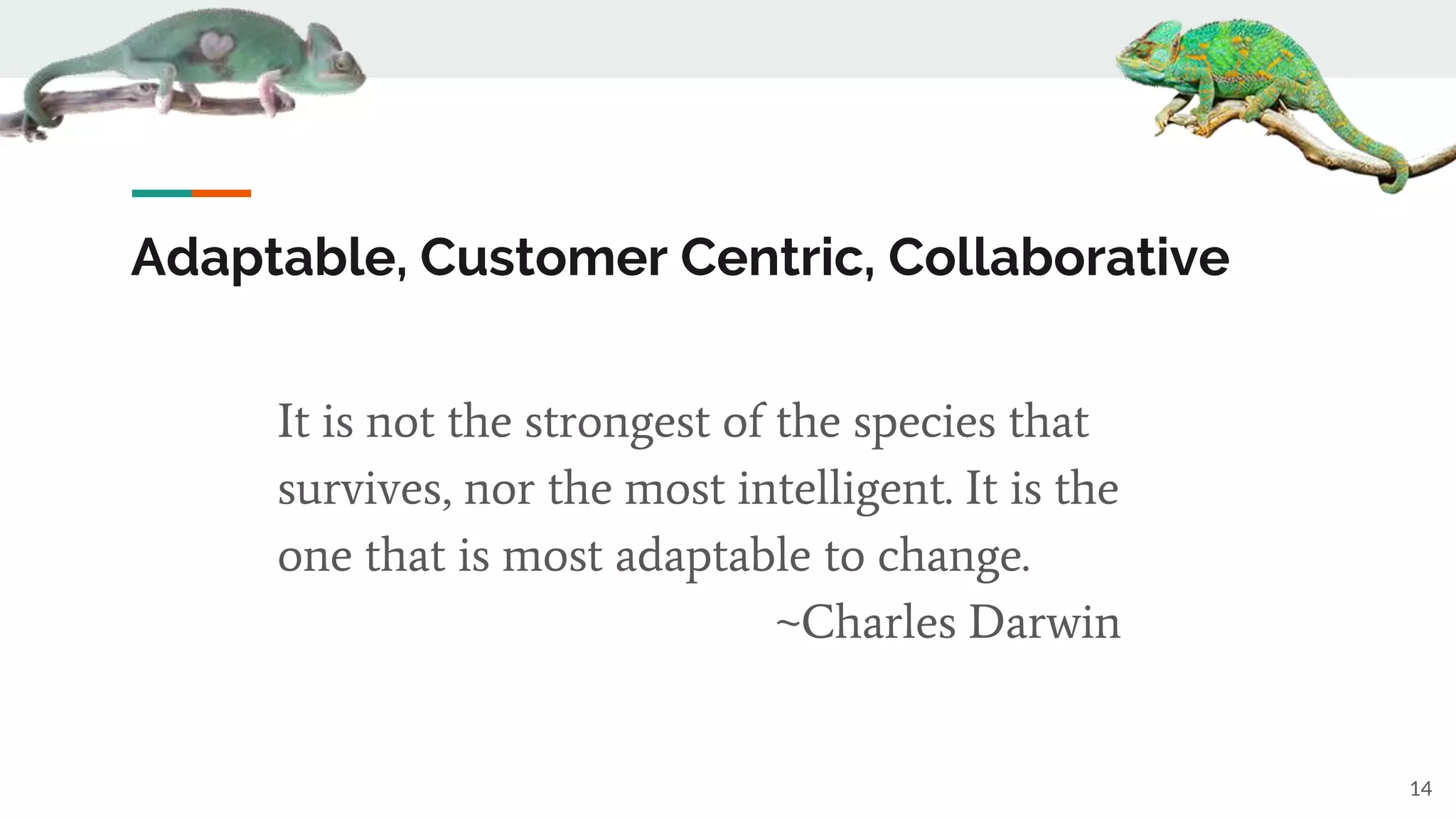 Adaptable, Customer Centric, Collaborative
It is not the strongest of the species that
survives, nor the most intelligent. It is the
one that is most adaptable to change.
~Charles Darwin
14
 