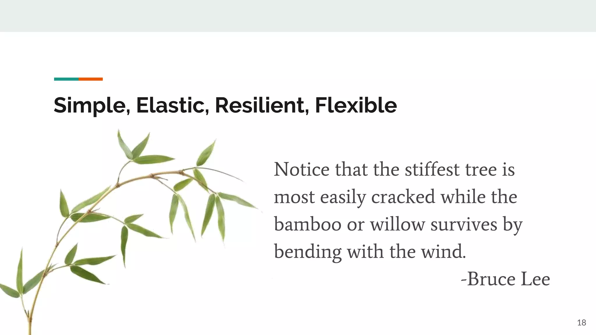 Simple, Elastic, Resilient, Flexible
Notice that the stiffest tree is
most easily cracked while the
bamboo or willow survives by
bending with the wind.
-Bruce Lee
18
 