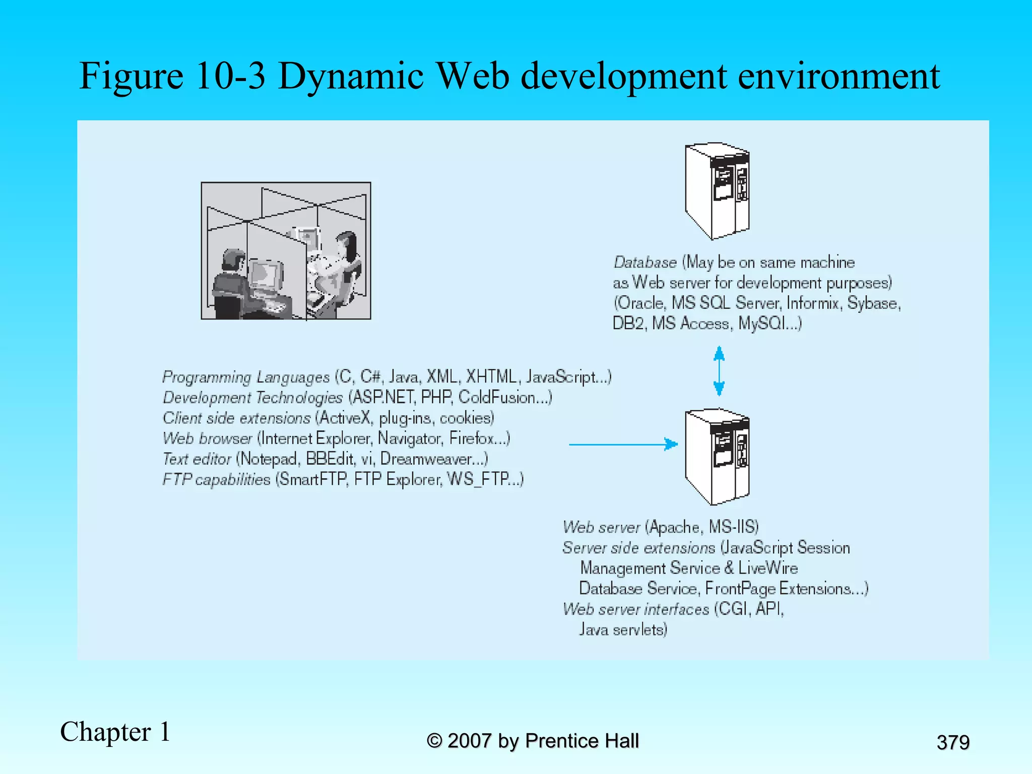 Figure 10-3 Dynamic Web development environment 