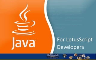 For LotusScript 
Developers 
 