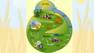 Modern fuels and their environmental impacts | PPTX