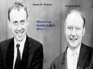 James D. Watson
Francis Crick
Discovered
double helical
DNA
 