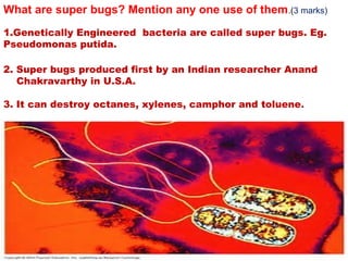 What are super bugs? Mention any one use of them.(3 marks)
1.Genetically Engineered bacteria are called super bugs. Eg.
Pseudomonas putida.
2. Super bugs produced first by an Indian researcher Anand
Chakravarthy in U.S.A.
3. It can destroy octanes, xylenes, camphor and toluene.
 