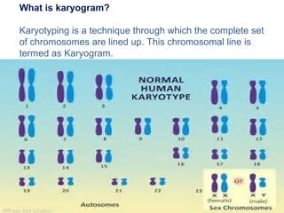 What is karyogram?
Karyotyping is a technique through which the complete set
of chromosomes are lined up. This chromosomal line is
termed as Karyogram.
 