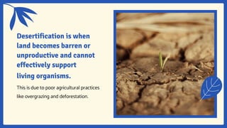 Modern Illustrative Human Impact on the Environment Lesson for High ...