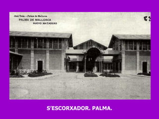 S’ESCORXADOR. PALMA. 