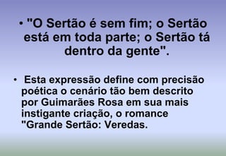 "O Sertão é sem fim; o Sertão está em toda parte; o Sertão tá dentro da gente". Esta expressão define com precisão poética o cenário tão bem descrito por Guimarães Rosa em sua mais instigante criação, o romance "Grande Sertão: Veredas.
