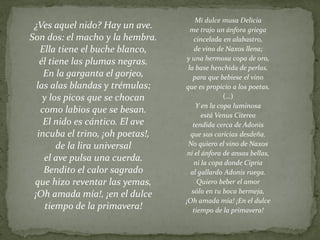 Mi dulce musa Delicia
me trajo un ánfora griega
cincelada en alabastro,
de vino de Naxos llena;
y una hermosa copa de oro,
la base henchida de perlas,
para que bebiese el vino
que es propicio a los poetas.
(…)
Y en la copa luminosa
está Venus Citerea
tendida cerca de Adonis
que sus caricias desdeña.
No quiero el vino de Naxos
ni el ánfora de ansas bellas,
ni la copa donde Cipria
al gallardo Adonis ruega.
Quiero beber el amor
sólo en tu boca bermeja,
¡Oh amada mía! ¡En el dulce
tiempo de la primavera!
¿Ves aquel nido? Hay un ave.
Son dos: el macho y la hembra.
Ella tiene el buche blanco,
él tiene las plumas negras.
En la garganta el gorjeo,
las alas blandas y trémulas;
y los picos que se chocan
como labios que se besan.
El nido es cántico. El ave
incuba el trino, ¡oh poetas!,
de la lira universal
el ave pulsa una cuerda.
Bendito el calor sagrado
que hizo reventar las yemas,
¡Oh amada mía!, ¡en el dulce
tiempo de la primavera!
 