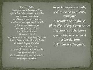 la yerba verde y muelle;
y el ruido de su aliento
semejaba
el resollar de un fuelle.
Él es, él es el rey. Cetro de oro
no, sino la ancha garra
que se hinca recia en el
testuz del toro
y las carnes desgarra.
Era muy bello.
Gigantesca la talla, el pelo fino,
apretado el hijar, robusto el cuello,
era un don Juan felino
en el bosque. Anda a trancos
callados, ve a la tigre inquieta, sola,
y le muestra los blancos
dientes, y luego arbola
con donaire la cola.
Al caminar se vía
su cuerpo ondear, con garbo y bizarría.
Se miraban los músculos hinchados
debajo de la piel. Y se diría
ser aquella alimaña
un rudo gladiador de la montaña.
Los pelos erizados
del labio relamía. Cuando andaba,
con su peso chafaba
 
