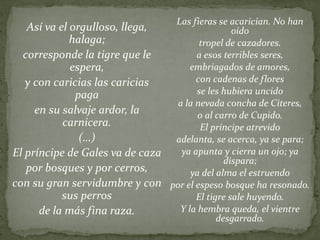 Las fieras se acarician. No han
oído
tropel de cazadores.
a esos terribles seres,
embriagados de amores,
con cadenas de flores
se les hubiera uncido
a la nevada concha de Citeres,
o al carro de Cupido.
El príncipe atrevido
adelanta, se acerca, ya se para;
ya apunta y cierra un ojo; ya
dispara;
ya del alma el estruendo
por el espeso bosque ha resonado.
El tigre sale huyendo.
Y la hembra queda, el vientre
desgarrado.
Así va el orgulloso, llega,
halaga;
corresponde la tigre que le
espera,
y con caricias las caricias
paga
en su salvaje ardor, la
carnicera.
(…)
El príncipe de Gales va de caza
por bosques y por cerros,
con su gran servidumbre y con
sus perros
de la más fina raza.
 