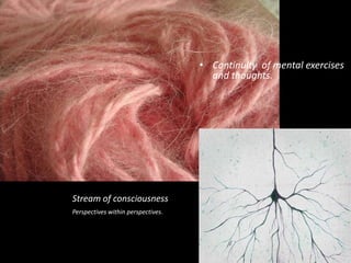 • Continuity of mental exercises
and thoughts.

Stream of consciousness
Perspectives within perspectives.

 