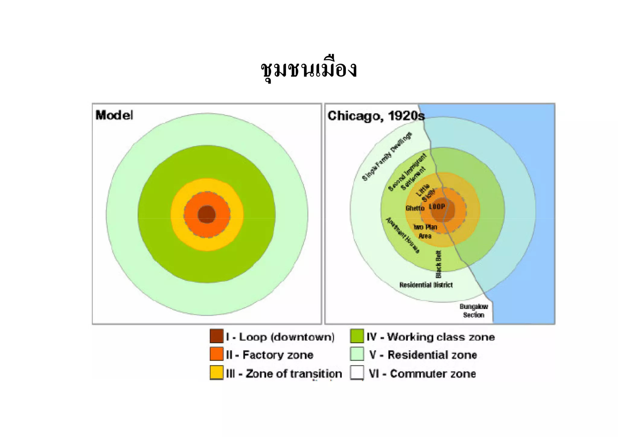 ชุมชนเมือง

 
