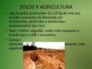 SOLOS X AGRICULTURA1Kg de grãos produzido= 6 a 10 Kg de solo por erosão= aumento da demanda por fertilizantes, pesticidas e herbicidas= assoreamento dos rios;Soja + milho+ algodão- estão mais expostos a erosão que o café + cacaueiro;Campo- desmatamentos, queimadas, florestamento, sobrepastoreio, compactação do solo.