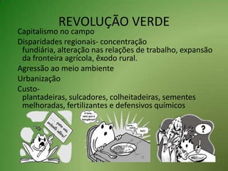 REVOLUÇÃO VERDE  Capitalismo no campo  Disparidades regionais- concentração fundiária, alteração nas relações de trabalho, expansão da fronteira agrícola, êxodo rural.  Agressão ao meio ambiente  Urbanização  Custo- plantadeiras, sulcadores, colheitadeiras, sementes melhoradas, fertilizantes e defensivos químicos