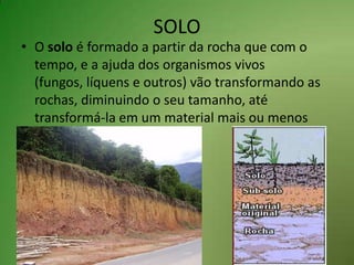 SOLOO solo é formado a partir da rocha que com o tempo, e a ajuda dos organismos vivos (fungos, líquens e outros) vão transformando as rochas, diminuindo o seu tamanho, até transformá-la em um material mais ou menos solto e macio.