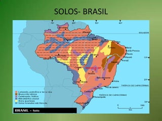SOLOS- BRASIL