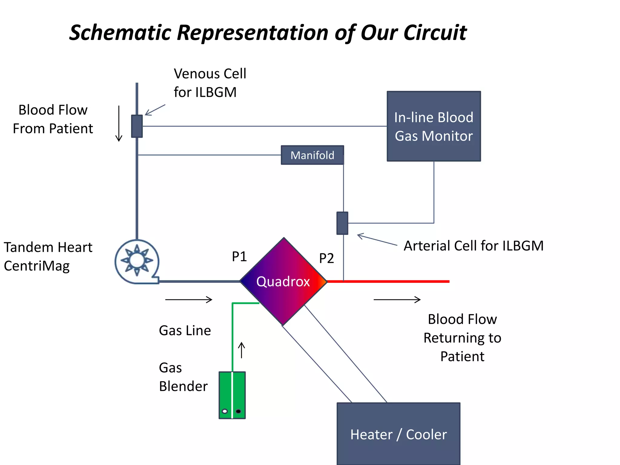 Schematic Representation of Our CircuitVenous Cell for ILBGMIn-line Blood Gas MonitorBlood FlowFrom PatientManifoldQuadroxArterial Cell for ILBGMTandem HeartCentriMagP1P2Blood FlowReturning to PatientGas LineGas BlenderHeater / Cooler