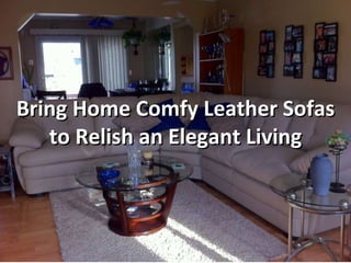Bring Home Comfy Leather Sofas to Relish an Elegant Living 