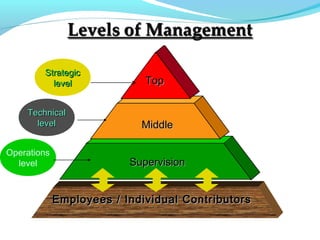 TopTop
MiddleMiddle
SupervisionSupervision
StrategicStrategic
levellevel
TechnicalTechnical
levellevel
Operations
level
Employees / Individual ContributorsEmployees / Individual Contributors
 