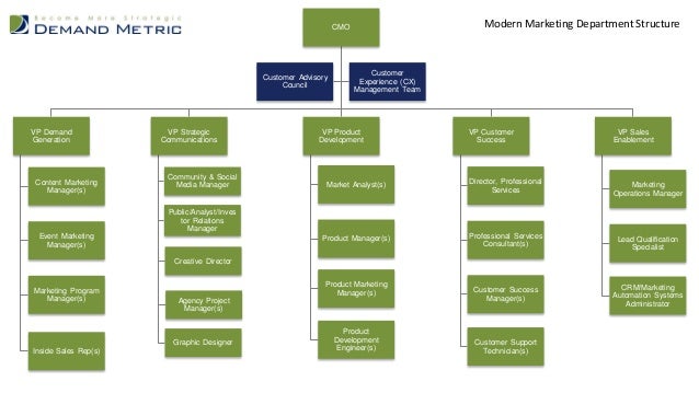 Sales And Marketing Department Structure Chart