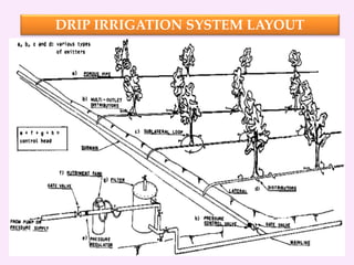 DRIP IRRIGATION SYSTEM LAYOUT
 