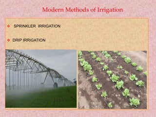 Modern Methods of Irrigation
 SPRINKLER IRRIGATION
 DRIP IRRIGATION
 