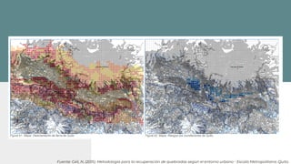 1950
Fuente: Celi, N. (2015). Metodología para la recuperación de quebradas según el entorno urbano - Escala Metropolitana. Quito.
 
