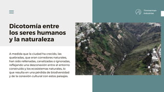 Dicotomía entre
los seres humanos
y la naturaleza
A medida que la ciudad ha crecido, las
quebradas, que eran corredores naturales,
han sido rellenadas, canalizadas o ignoradas,
reflejando una desconexión entre el entorno
construido y los ecosistemas naturales, lo
que resulta en una pérdida de biodiversidad
y de la conexión cultural con estos paisajes.
Timmerman
Industries
 