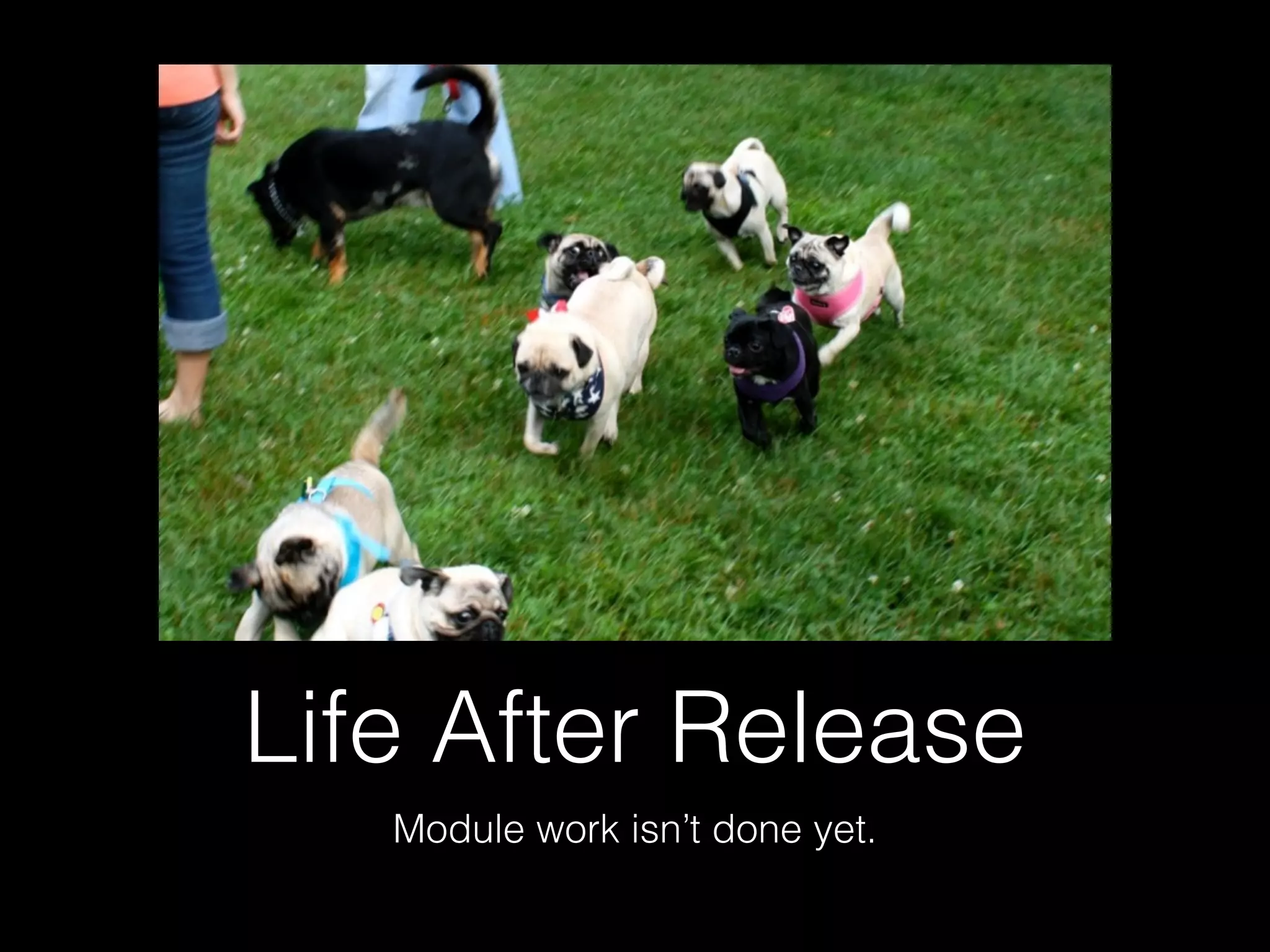 Life After Release
Module work isn’t done yet.
 
