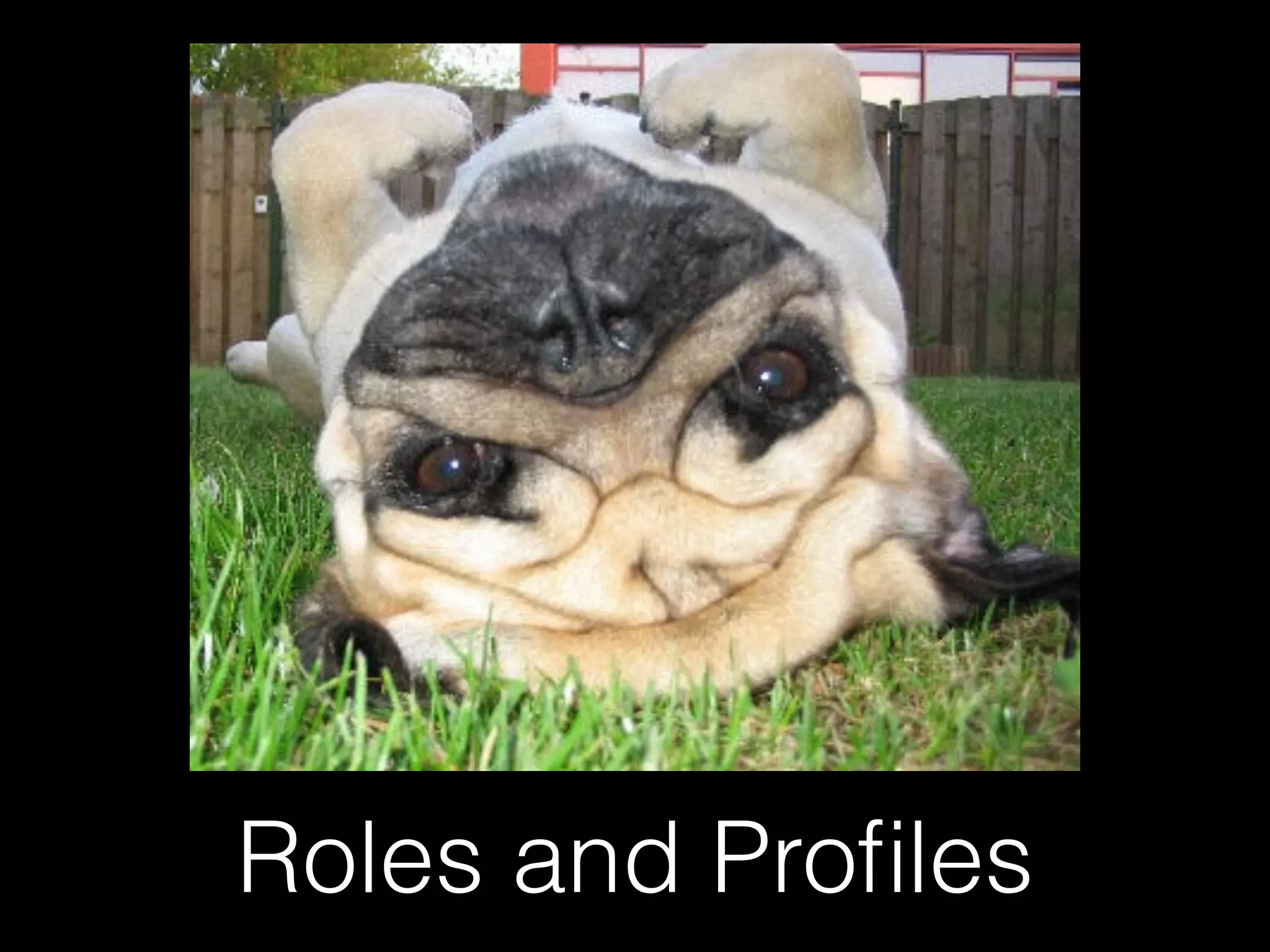 Roles and Proﬁles
 