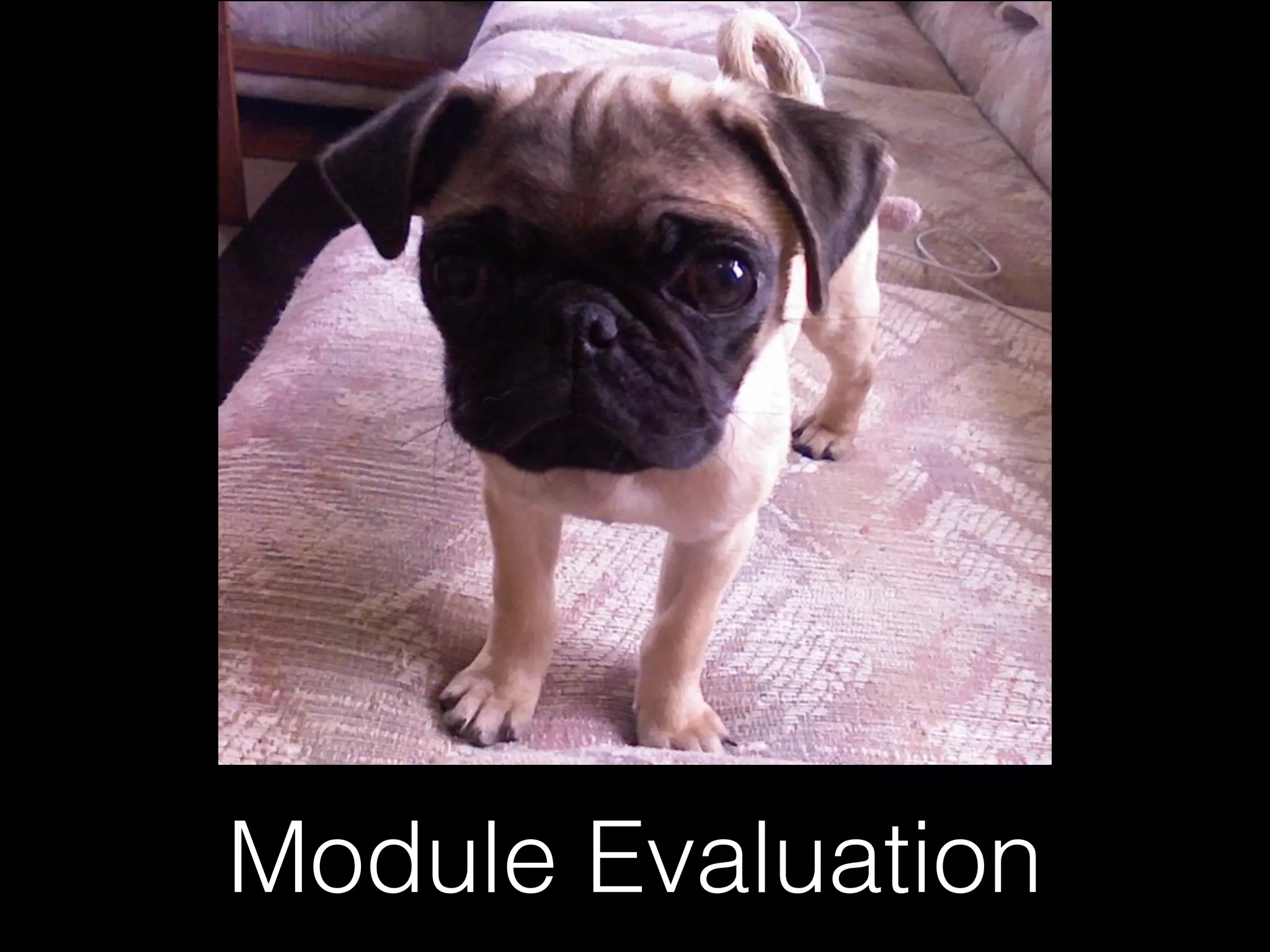 Module Evaluation
 